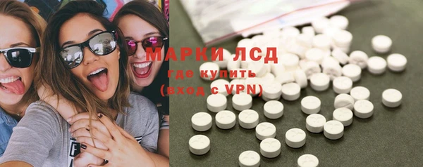 стаф Алзамай
