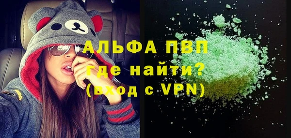 стаф Алзамай
