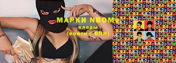 стаф Алзамай