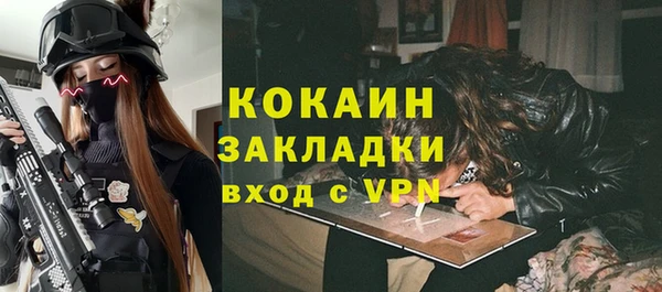 бошки Инта