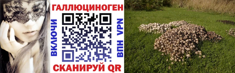 наркошоп  Георгиевск  Галлюциногенные грибы MAGIC MUSHROOMS 