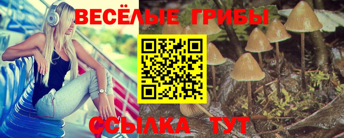 Галлюциногенные грибы мицелий  Вход с VPN  Галлюциногенные грибы Cubensis  Георгиевск 