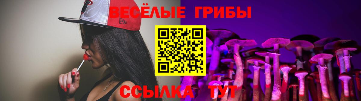 Псилоцибиновые грибы мицелий Георгиевск
